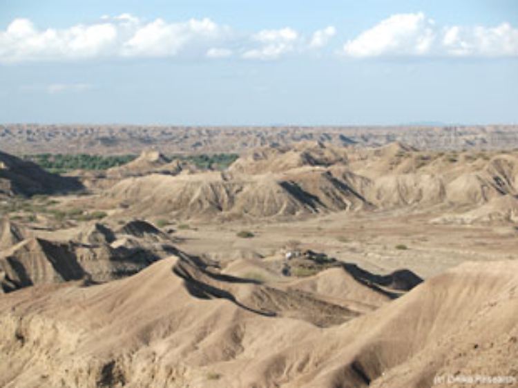 Der Fundort der Knochen in der Andedo Drainage, einem natürlichen Ablaufkanal im Afar-Dreieck von Äthiopien.