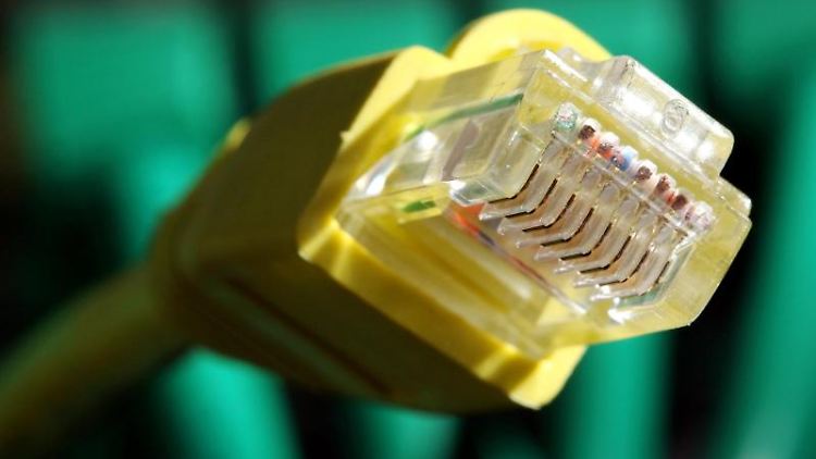 Mit ihrem Votum in Brüssel gingen die Abgeordneten über Vorschläge der EU-Kommission zur Netzneutralität hinaus. Foto: Martin Gerten