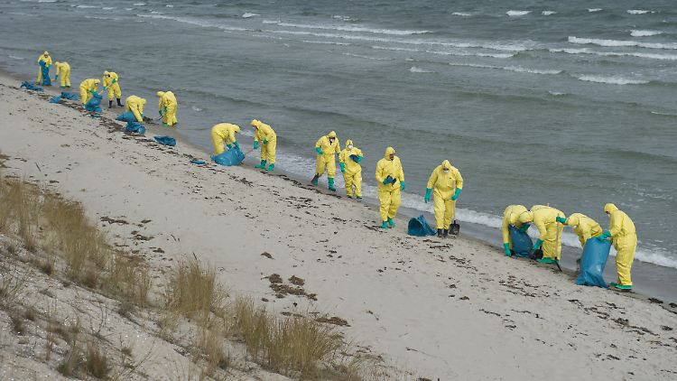 Mitarbeiter des THW sammeln am Strand der Insel Rügen Ölklumpen ein.