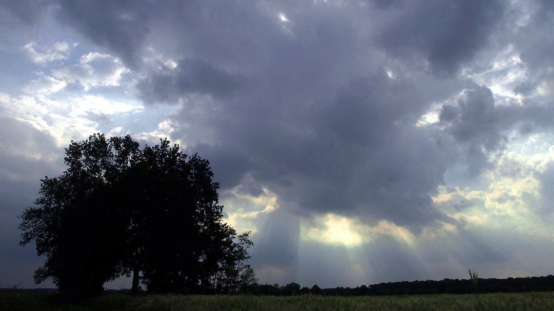 WetterNeu.jpg
