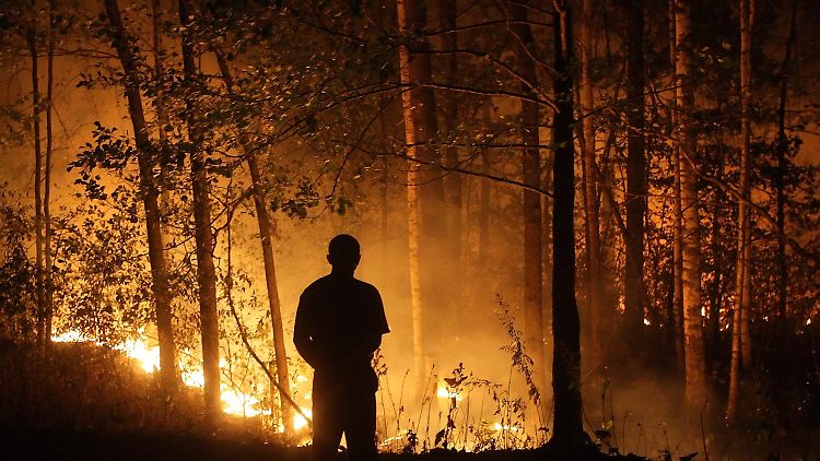 Noch stark in Erinnerung: die verheerenden Waldbrände in Russland im Sommer 2010.