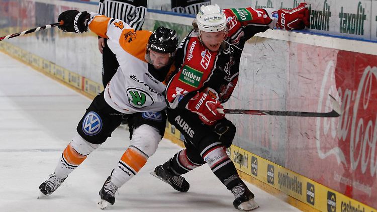 Die Kölner Haie haben sich wieder ganz nach vorne gekämpft.