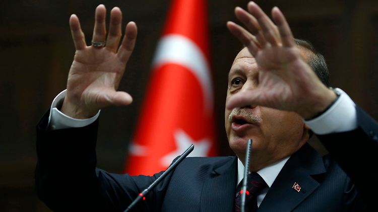 Erdogan spricht zu den Abgeordneten seiner AKP.