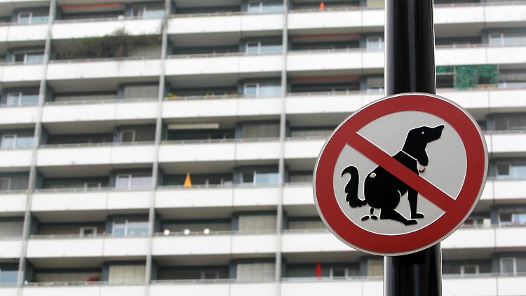 "Kot & Köter" macht keinen Hehl daraus, dass die Autoren etwas gegen Hunde und ihre Halter haben.