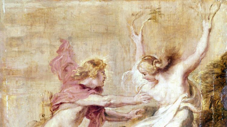 Apollon und Daphne - seit Jahrhunderten Thema in der Kunst, hier von Peter Paul Rubens.