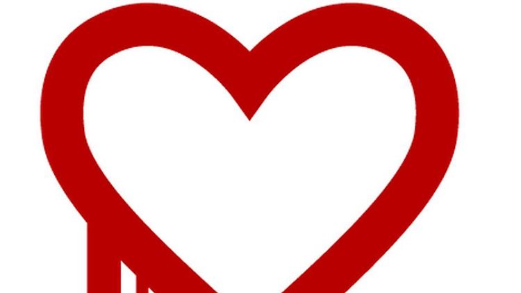 Heartbleed ist eine sehr gefährliche Lücke in der Verschlüsselungs-Software OpenSSL.