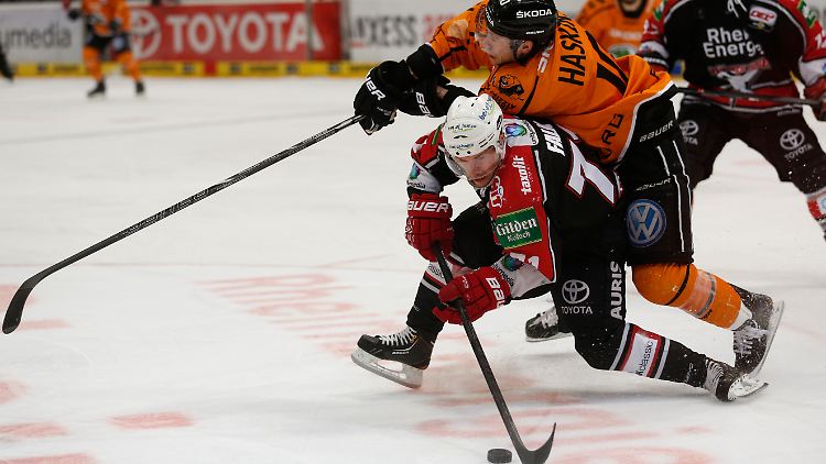 Kölns Andreas Falk (unten) und der Wolfsburger Tyler Haskins gaben vollen Körpereinsatz.