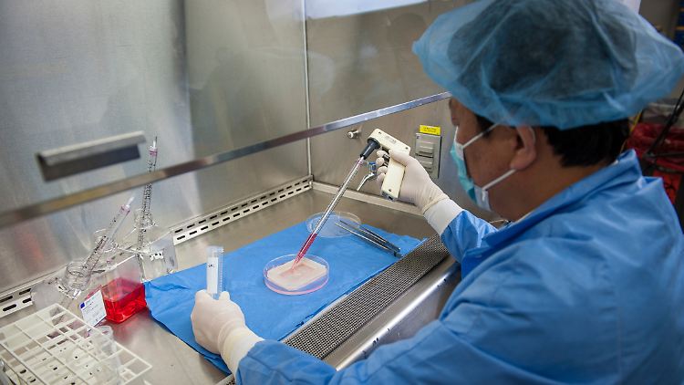 In einem Labor in Winston Salem, North Carolina/USA, demonstriert Professor Yuanyuan Zhang den Prozess der Herstellung von Vagina-Gewebe.