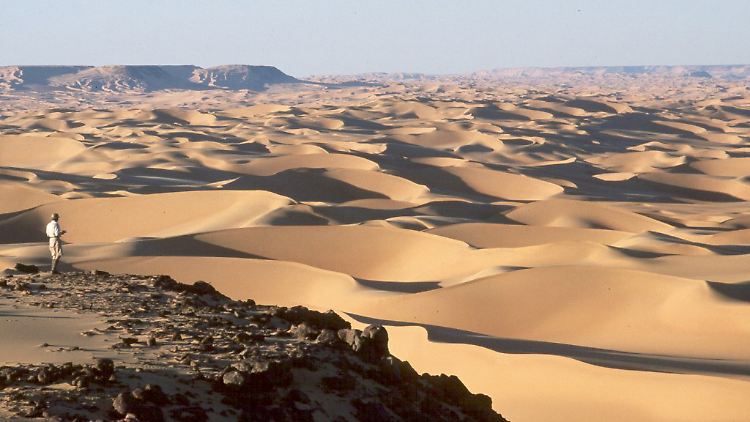 Dünen wie Sand am Meer und doch nur ein kleiner Teil der Sahara: die südlichen Ausläufer der Großen Sandsee Ägyptens.
