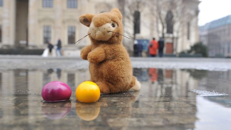 Beim vorösterlichen Probelauf holt sich der Berliner Hase noch nasse Füße.