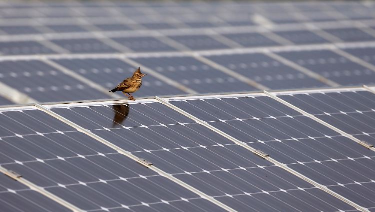Nach einem schwierigen Jahr 2013 könnten der deutschen Solarbranche 2014 im Ausland Flügel wachsen.