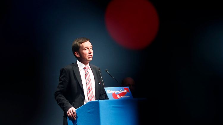 AfD-Vorstand Lucke hat den "Alternativen Newsletter" immer wieder kritisiert.