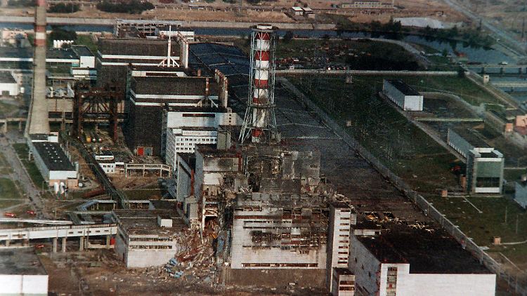Auch 28 Jahre nach der Atomkatastrophe von Tschernobyl sind heimische Pilze und Wildfleisch teils noch hoch radioaktiv belastet.