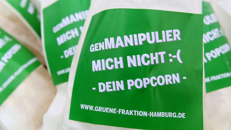 Nicht nur die Grünen sind gegen den Anbau gentechnisch veränderter Pflanzen.