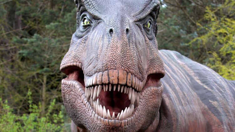 Auch Tyrannosaurier lebten nahe der Fundstelle. (Replik im Woodland Park Zoo in Seattle)