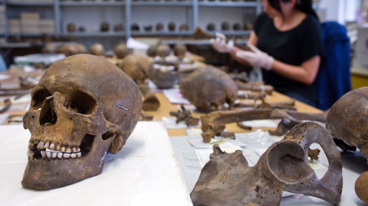 Eine wissenschaftliche Schätzung, basierend auf den Knochenfunden, beziffert die Anzahl der Kämpfer auf rund 4000. 