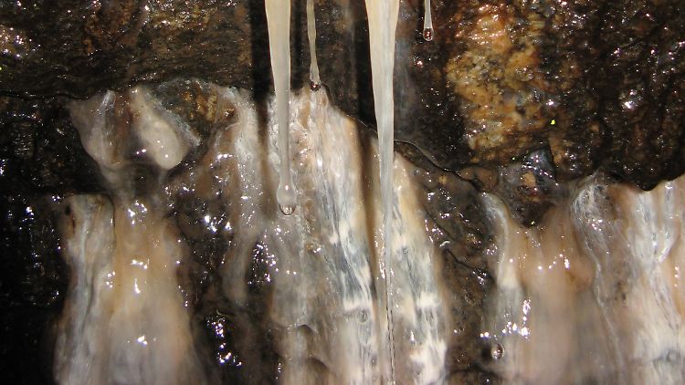 Biofilme könnten eine wichtige Rolle bei der Sicherheit von Endlagern für hochradioaktive Stoffe spielen.