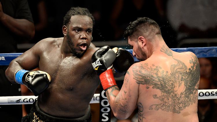 Stiverne (l.) ließ Arreola in der sechsten Runde auf die Bretter gehen.