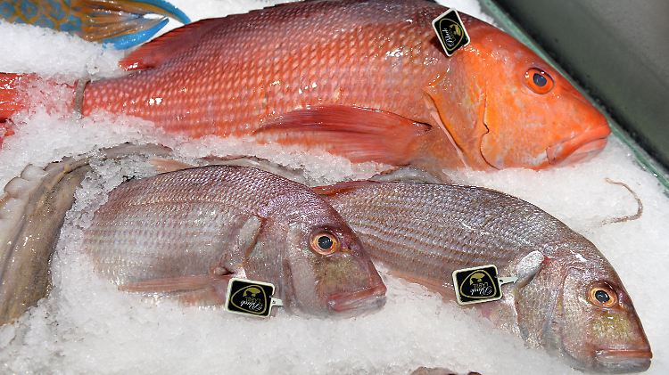 Der Fischkonsum steigt, aber die Bestände nehmen dramatisch ab.