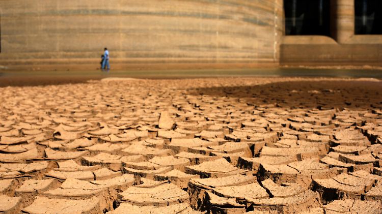 Die Trockenheit auf den brasilianischen Plantagen und die Angst vor einer katastrophalen Ernte lassen die Preise nach oben schnellen.