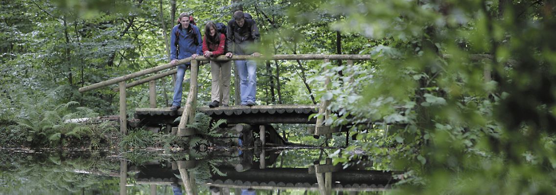 Wanderer auf dem Saar-Hunsrück-Steig an dem Waldweiher bei Kell am See.