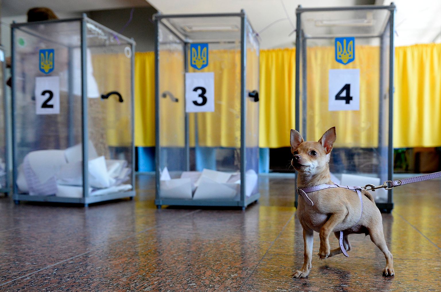 Präsidentschaftswahlen in der Ukraine - das bedeutet in diesen Tagen ein Urnengang ... 