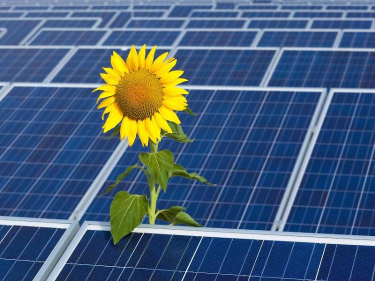 Wer über eine Beteiligung am Solarpark nachdenkt, sollte nur einen Teil seiner Ersparnisse investieren. Denn das Geld kann bei einer Insolvenz verloren gehen.