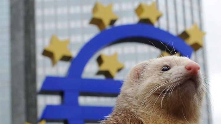 Die Jagd geht weiter: Die Aussicht auf eine Liquiditätsausweitung seitens der EZB macht es möglich. 