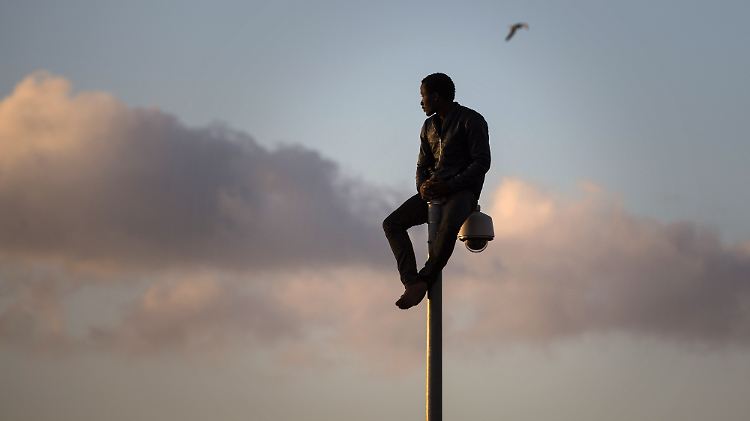 Nicht alle Flüchtlinge schaffen den Sprung nach Europa: Dieser Afrikaner sitzt auf einer Laterne im Niemandsland zwischen Marokko und Melilla.