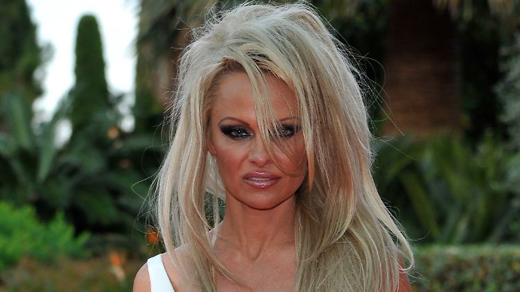 Durch den Abend führte Pamela Anderson an der Seite von Sänger Jason Derulo.