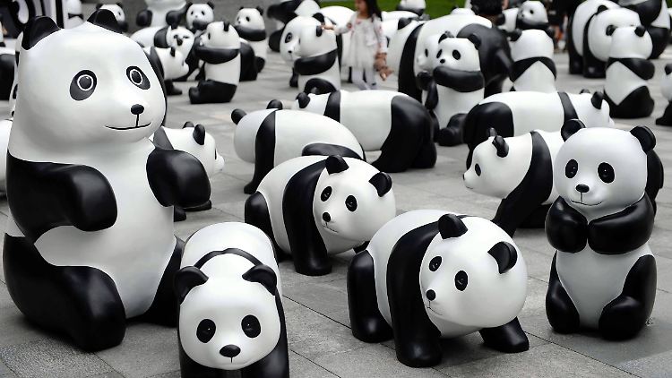 Hier müssen Pandas als Vorlage für Kunstobjekte herhalten. Die Ausstellung "100 Pandas" wurde dieser Tage in Shanghai eröffnet.