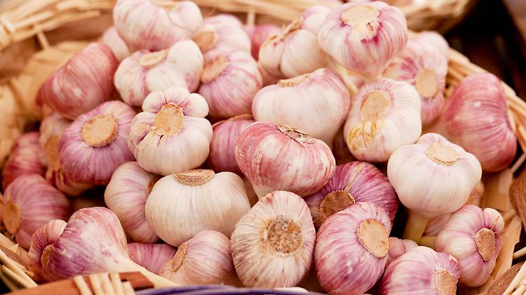 Weißer und rosa Knoblauch locken nach Halle/Saale.