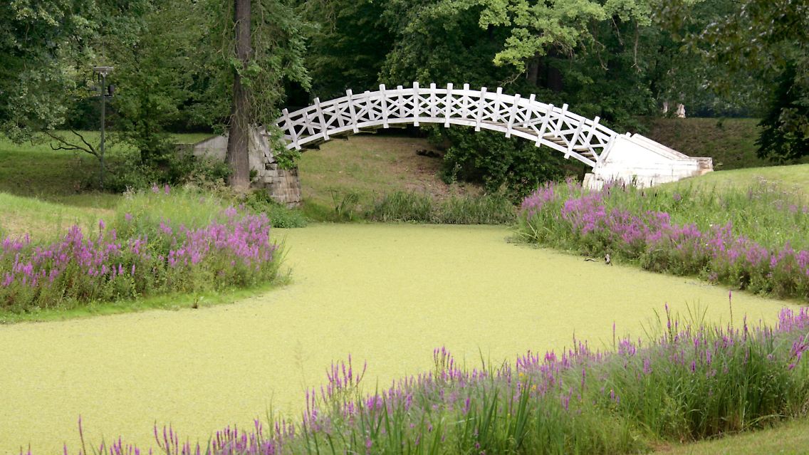 Die weiße Brücke am Luisium fügt sich harmonisch in die Landschaft ein.