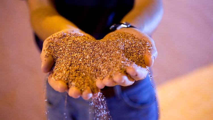 Potash: BHP-Angebot nicht hoch genug. Ein anderer Konzern soll in den Übernahmekampf mit einsteigen und den Preis in die Höhe treiben.