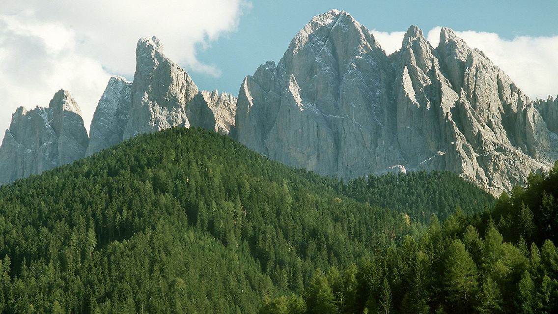 5957167.jpg