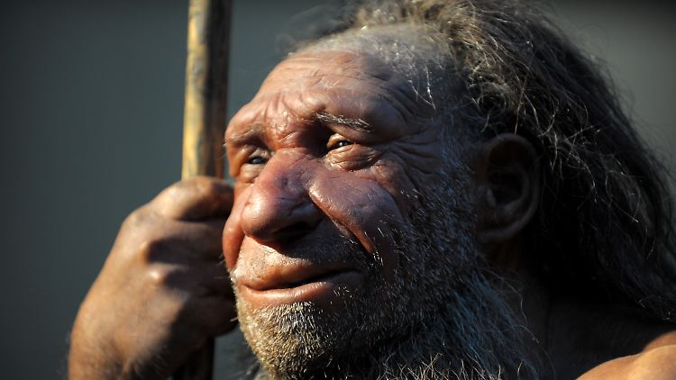 So könnte ein Neandertaler ausgesehen haben.
