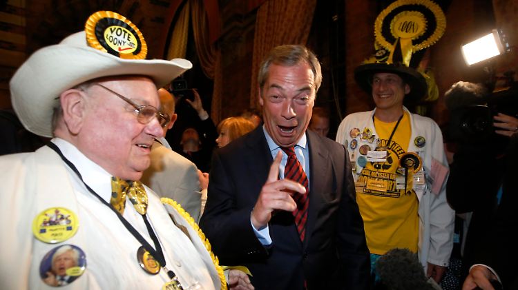 Nigel Farage musste sich mit italienischen Clowns zusammentun, um eine Fraktion bilden zu können. Das Bild zeigt ihn mit Mitgliedern der "Official Monster Raving Loony Party".
