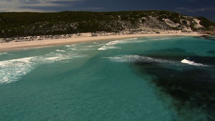 Die Forschungen mit "Shark Alpha" vor der australischen Küste sollten eigentlich etwas anderes zutage bringen.