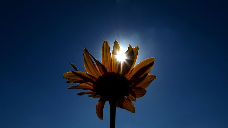 49917496.jpg