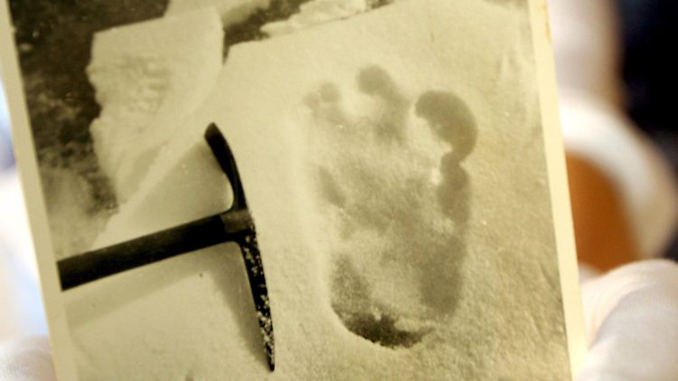 Eine Mitarbeiterin des Aktionshauses Christie's zeigt in London ein im Jahr 1951 im Himalaya aufgenommenes Bild des Alpinisten Eric Shipton (1907-1977), das eine Yeti-Fußspur zeigen soll. (Archivbild 2007)