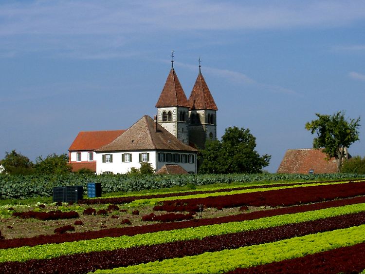 Die Gemüseinsel: Auf den Feldern der Reichenau reifen Tomaten, Salat und Gurken in erstklassiger Qualität.