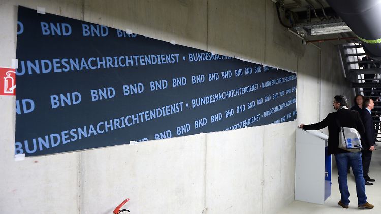 47546606.jpg