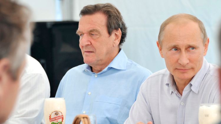 Sie gelten als Freunde: Ex-Kanzler Schröder und Russlands Präsident Putin. Viele Deutsche sind darüber nicht besonders glücklich.