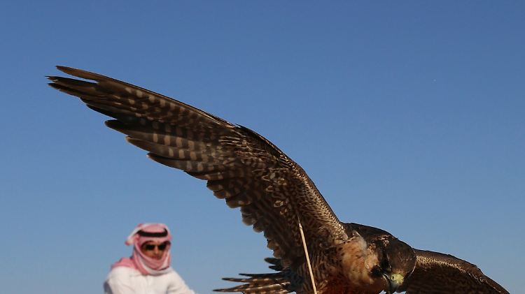 Im Dezember 2015 wurde eine Gruppe aus Katar bei der Falkenjagd im Irak entführt. Hunderte Millionen Lösegeld sollen für ihre Freilassung an iranische Kräfte geflossen sein - zum Ärger Saudi-Arabiens.