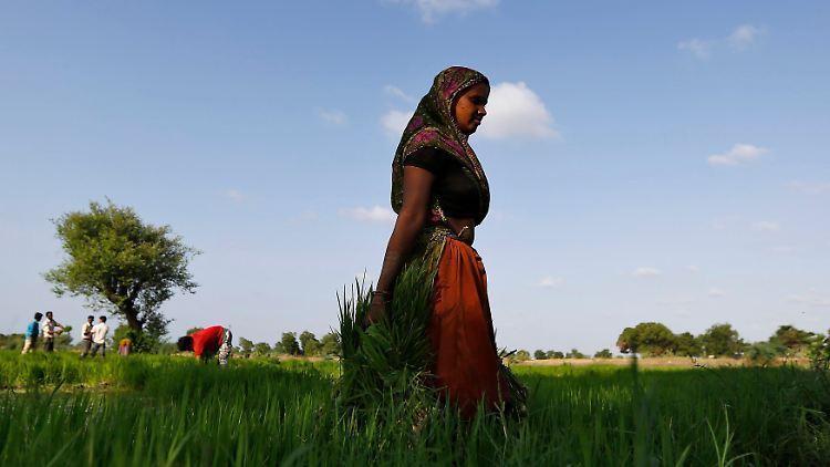 Die Rechte einer Frau zählen in einigen Regionen Indiens wenig.