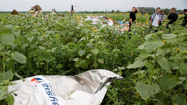Vermutungen und Anschuldigungen gibt es viele - geklärt ist zum Absturz oder Abschuss von MH17 aber noch nicht viel.