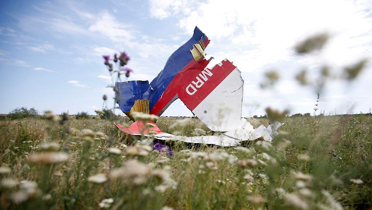Noch in der Luft auseinandergebrochen: ein Wrackteil der Boeing 777 der Malaysia Airlines in einer Wiese bei Grabovo.