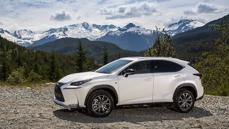 Das Design des Lexus NX ist durchaus mutig. 