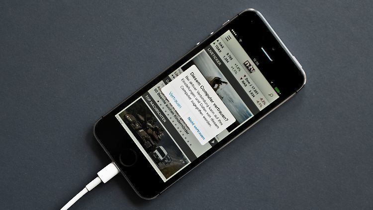 Dienen die undokumentierten Dienste in iOS nur der Diagnostik oder auch als Hintertür für US-Behörden?