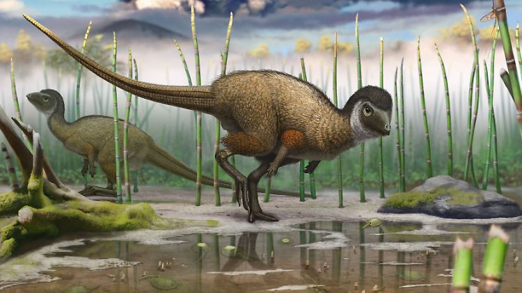 Grafik eines Kulindadromeus zabaikalicus, dessen Überreste im Südosten Sibiriens entdeckt wurden, in seiner Umwelt. Die 1,5 Meter lange neue Saurierart trug Federn. 